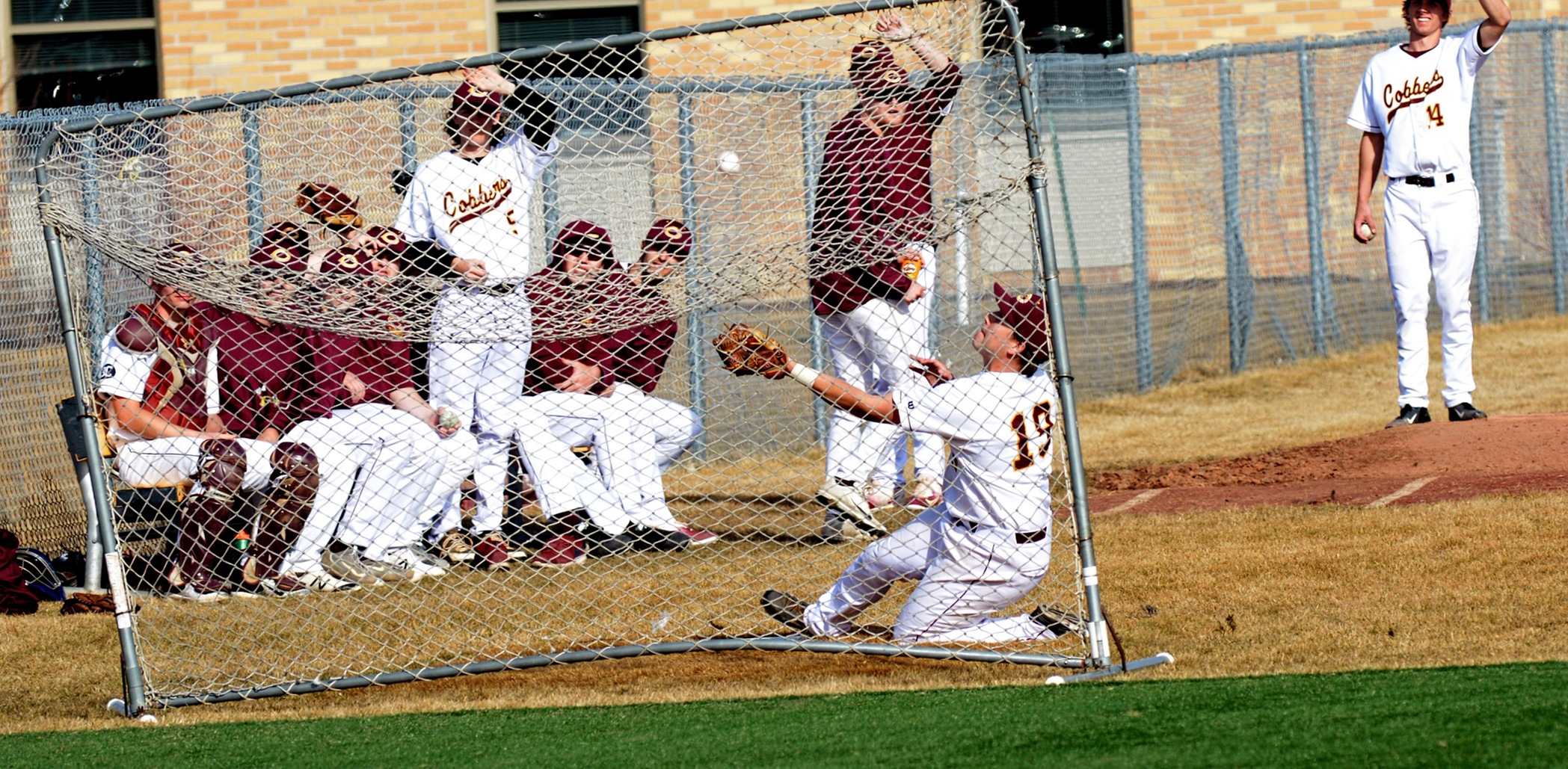 Senior third baseman Cody Rahman goes behind a protective screen to make an "ESPN Top 10" sliding catch in foul ground during the Cobbers' 6-5 win over Jamestown.
