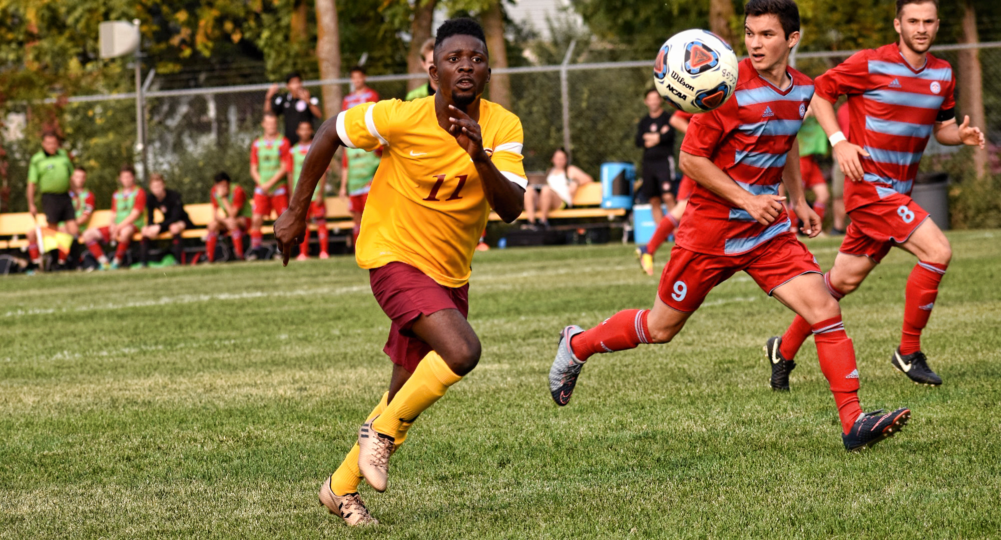 Concordia senior Roland Oyou scored the Cobbers' lone goal in their game at Gustavus. (Photo courtesy of Maddy Reed)