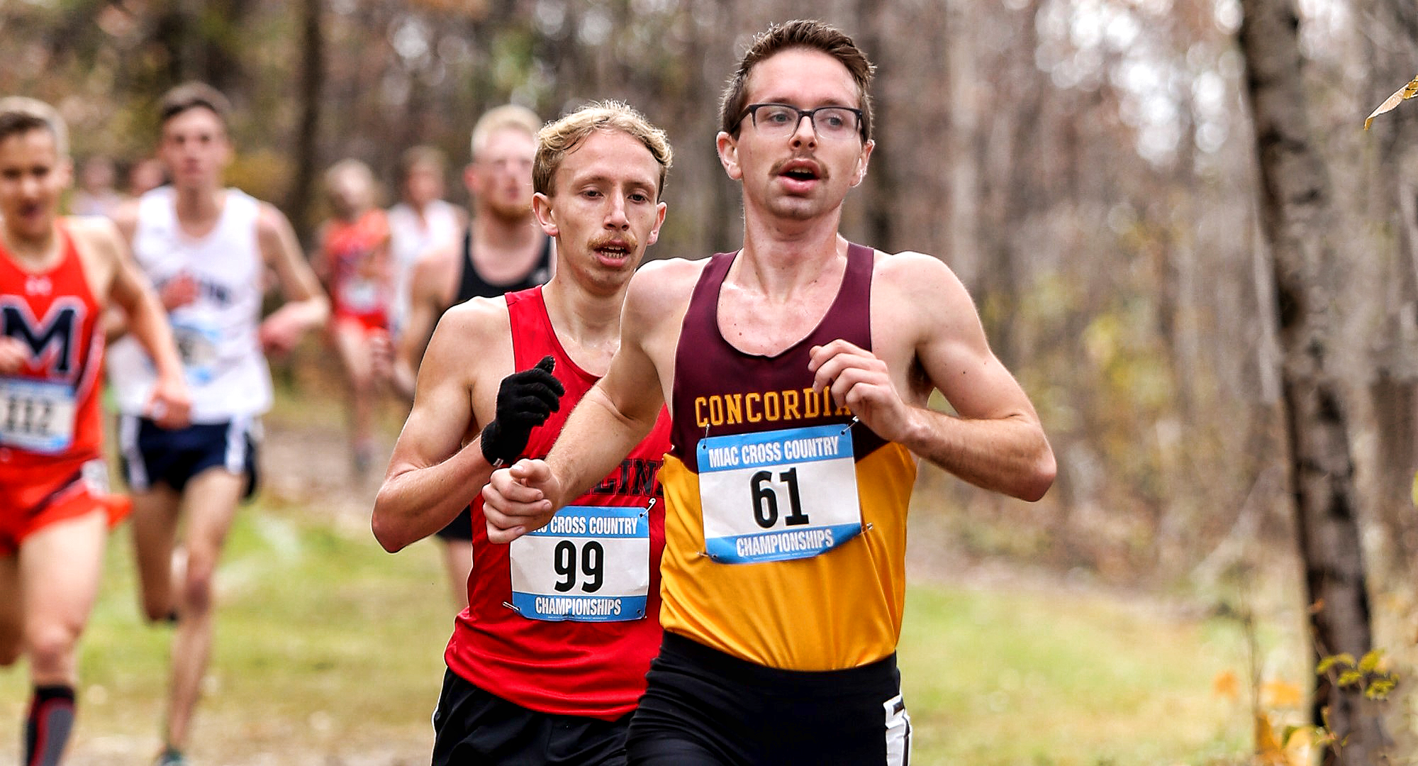 Junior Eric Wicklund led Concordia for the second straight season at the NCAA Region Meet. (Photo courtesy of Nathan Lodermeier)