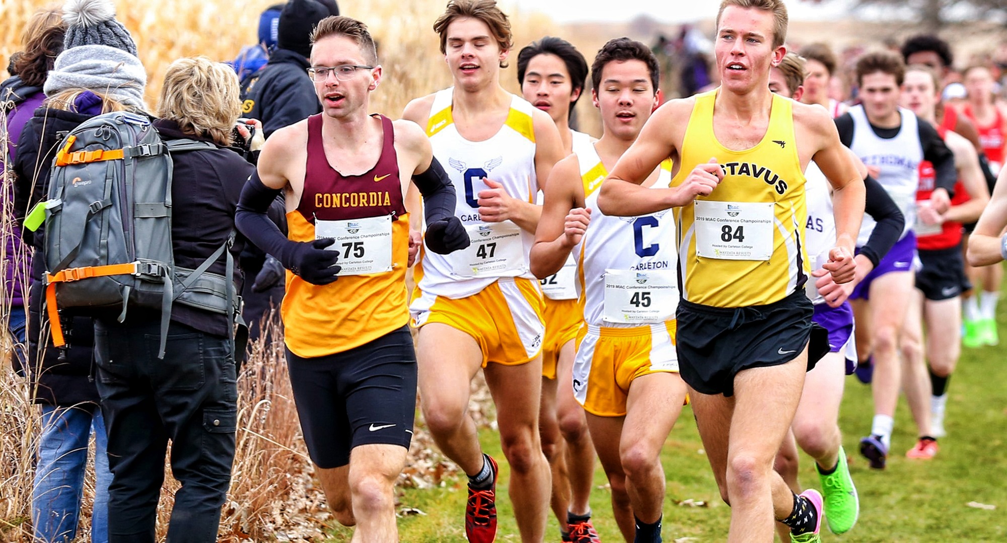 Senior Eric Wicklund led the Cobbers in the NCAA Regional Meet at Wartburg College as CC posted its first Top 15 finish since 2003. (Photo courtesy Nathan Lodermeier)