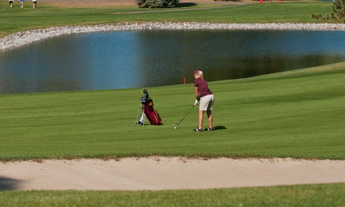 Cobbers Host Annual Concordia Tournament Weekend