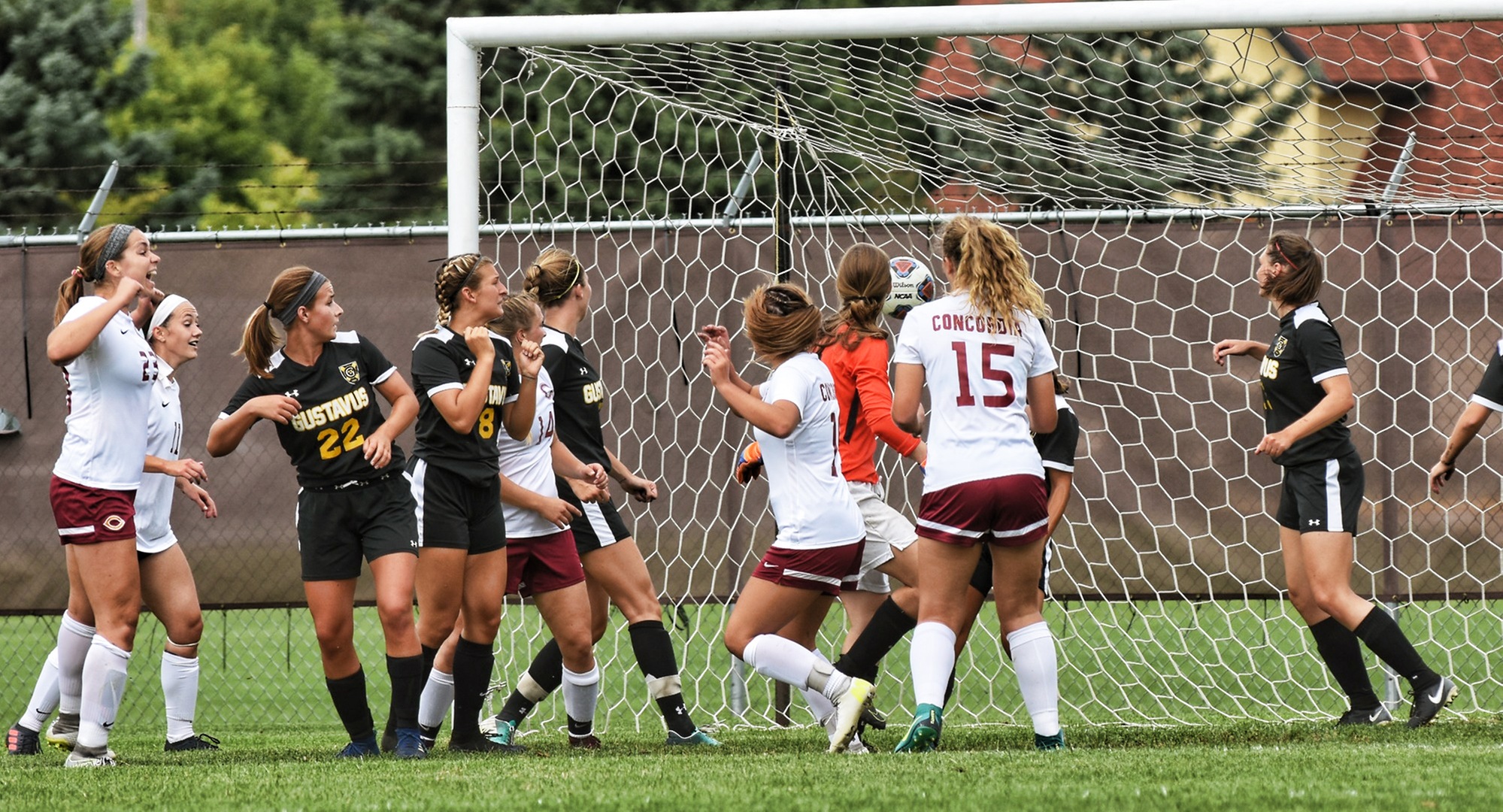 Abby Westbee (2nd CC player from right) watches her header go into the net for the first goal in the Cobbers' game with Gustavus.