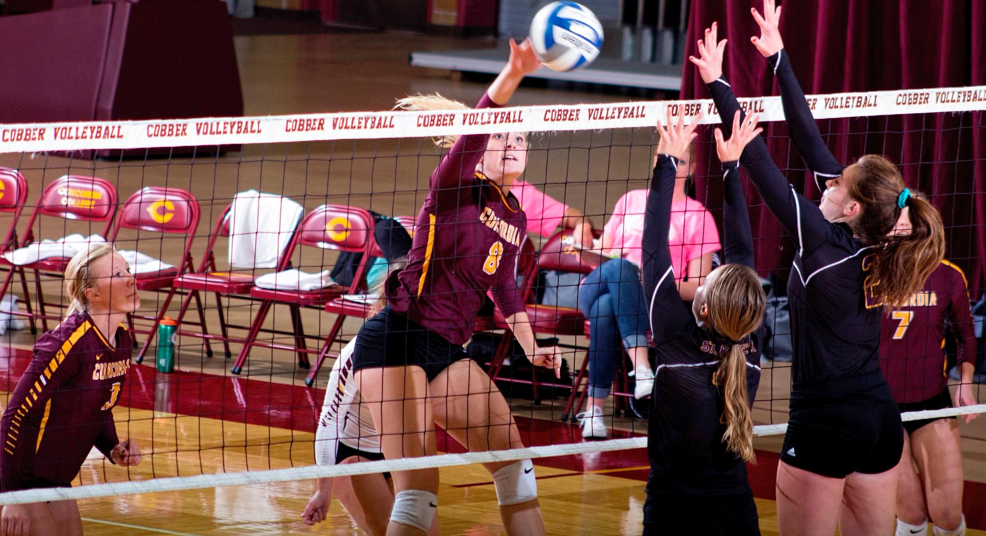 Freshman Brianna Carney puts down one of her match-high 13 kills in the Cobbers' sweep over St. Catherine.