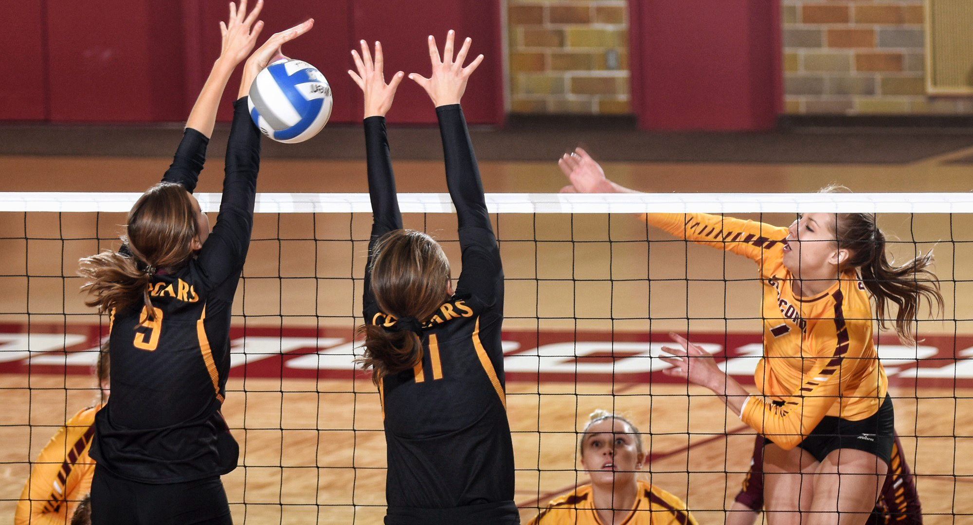 Senior Haley Cuppett hits the ball through the block for one of her match-high 16 kills during the Cobbers' match with Minn.-Morris.