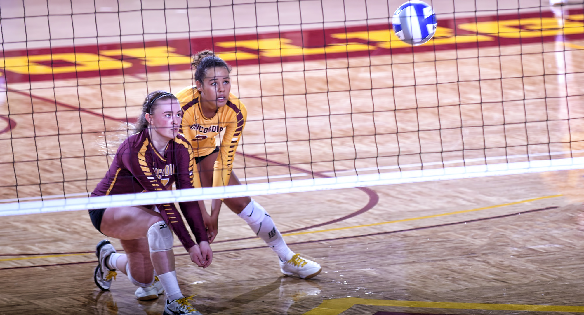 Junior Casey Coste (L) gets ready to make one of her team-high 12 digs in the Cobbers' match with Augsburg.
