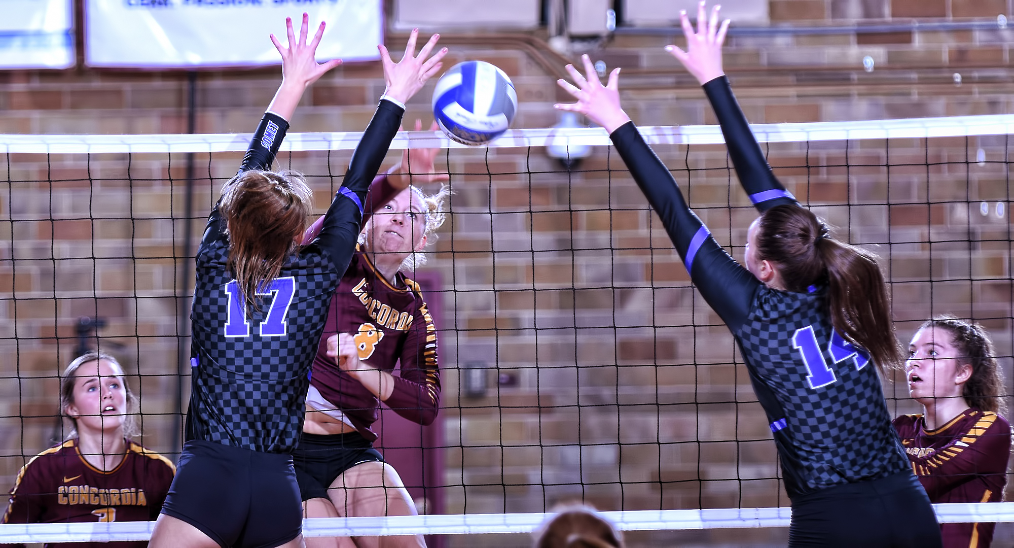 Senior Brianna Carney puts down the kill between the Mayville State block. She hit .214 in the Cobbers' match with the Comets.