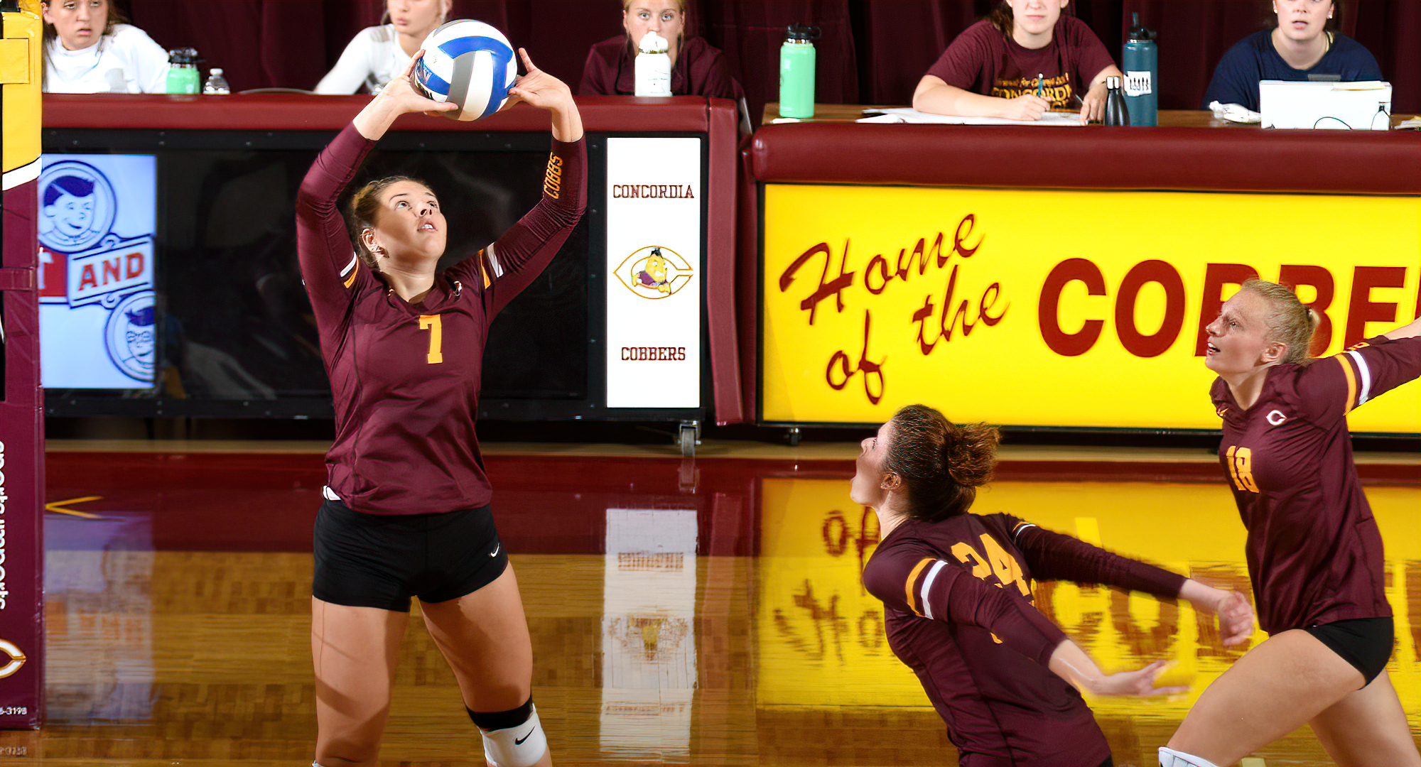 Junior Kaia Lill had 70 assists in the Cobbers' two matches at Stevens Points. She now has 242 for the season which is fourth most in the MIAC.
