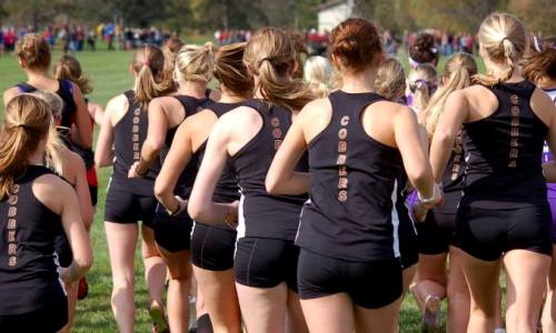 Sophomore Pack Pushes Cobbers At MIAC