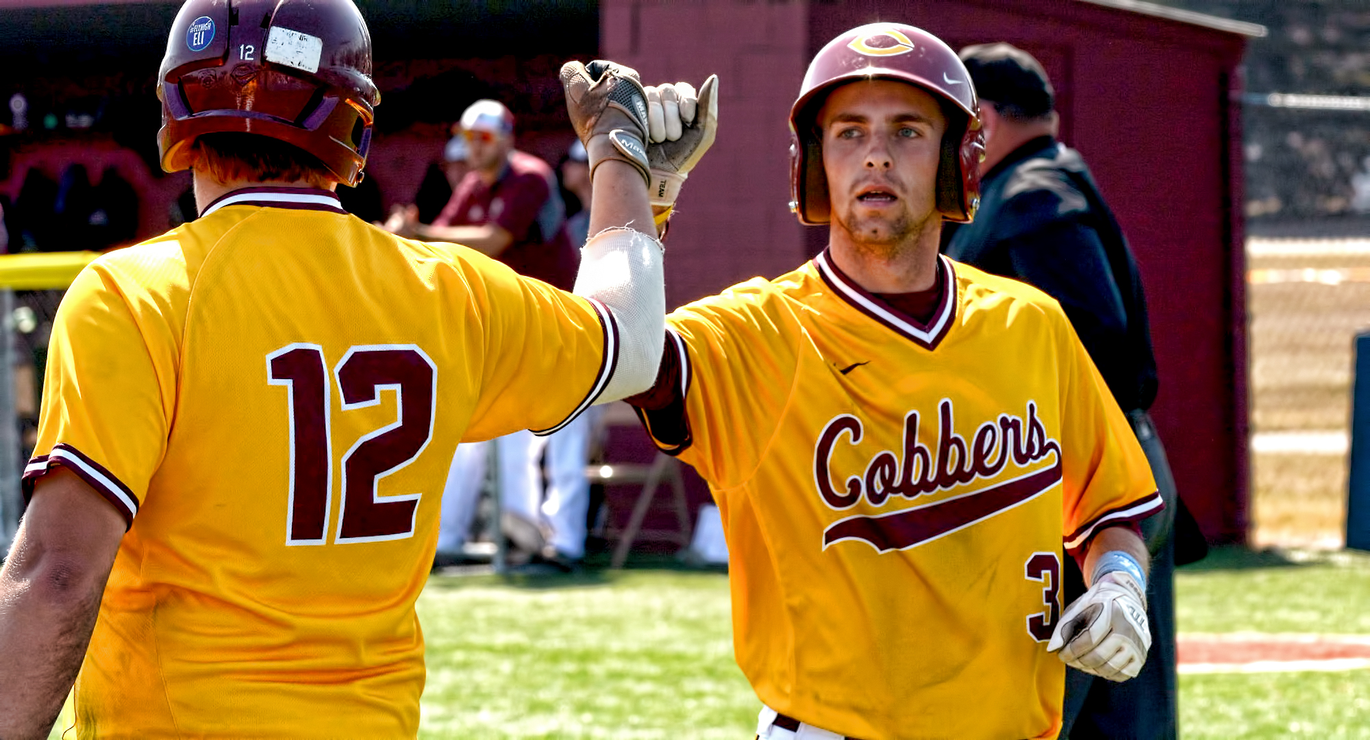 Junior Nate Hoeft is congratulated after scoring one of the game-tying runs in the seventh inning in Game 2 of the Cobbers' sweep over Augsburg.