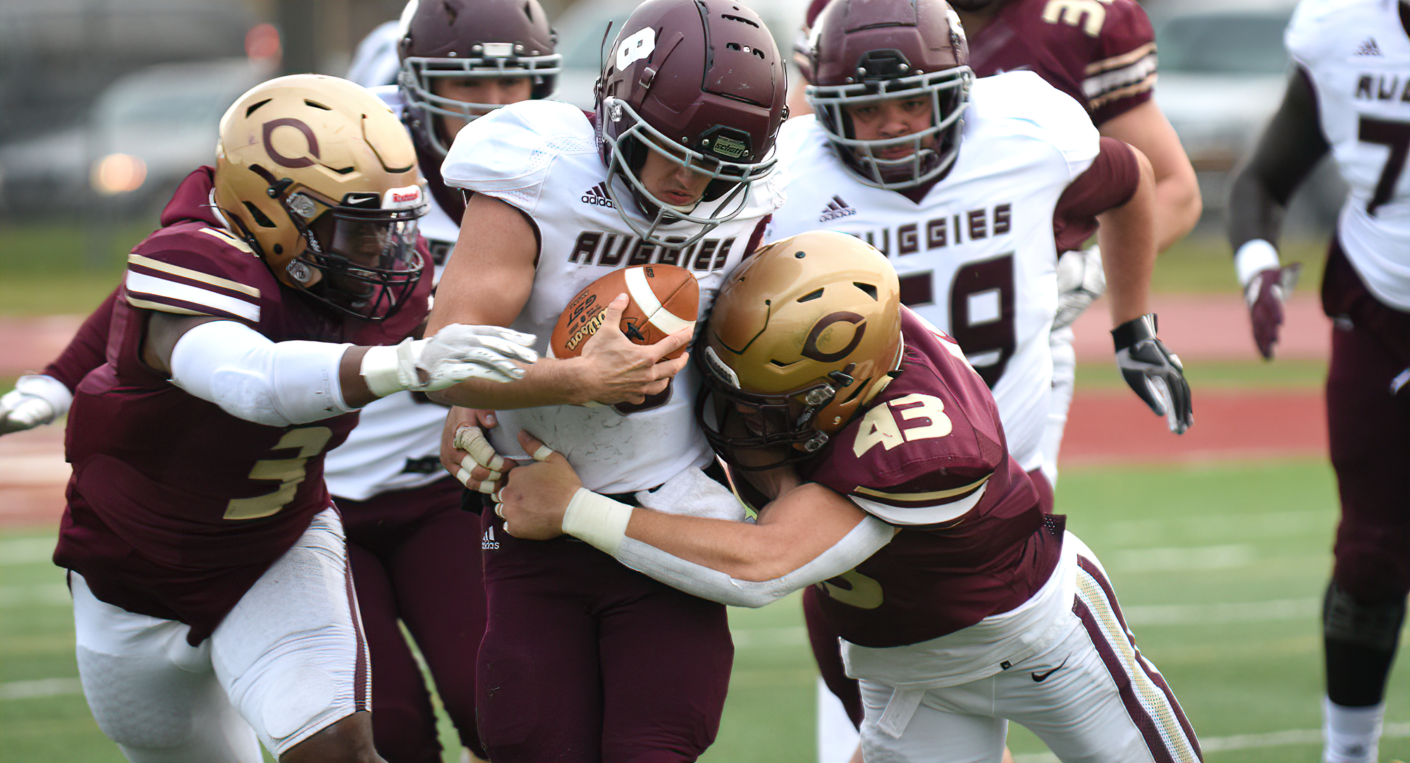 Seniors Rob Lestrick (#3) and Noah Jenson (#43) bring down the Augsburg quarterback for one of the team's seven sacks on the day.