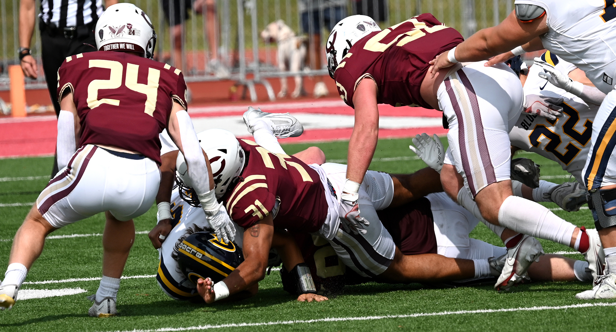 Junior Jaiden Musse (#31) makes the tackles with a swarm of Cobbers coming to help. Musse had a team-high 8 tackles with 2 sacks and an INT.