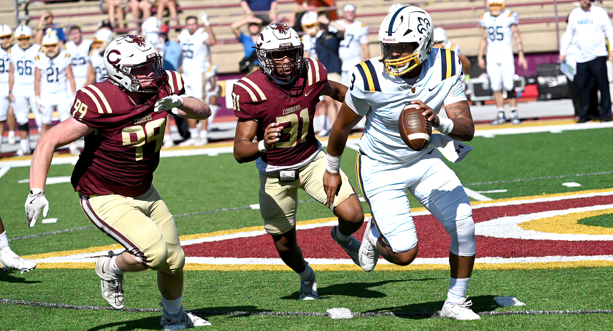 Collin Thompson (L) and Jaiden Musse put pressure on the St. Scholastica quarterback during the Cobbers' 35-0 Homecoming win.