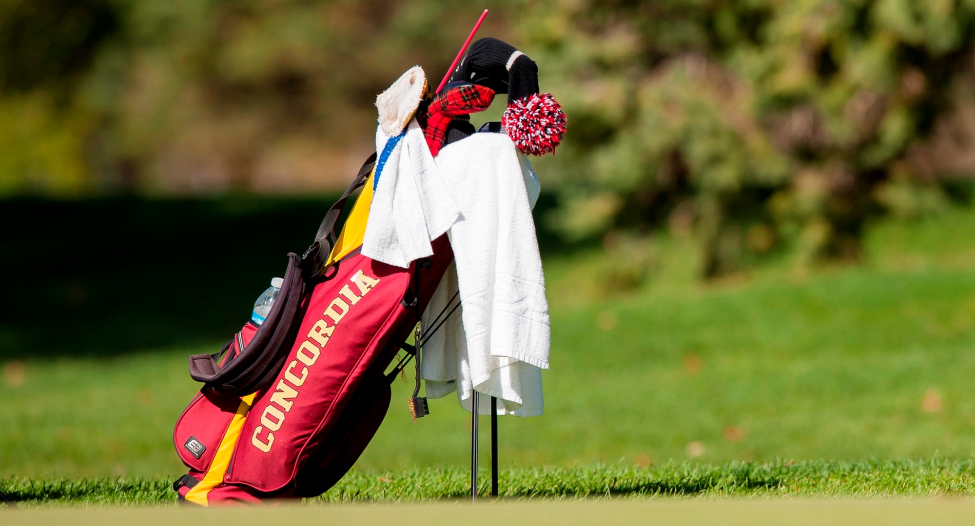Concordia is tied for first after round one of the UMC King's Walk Invite on Sunday