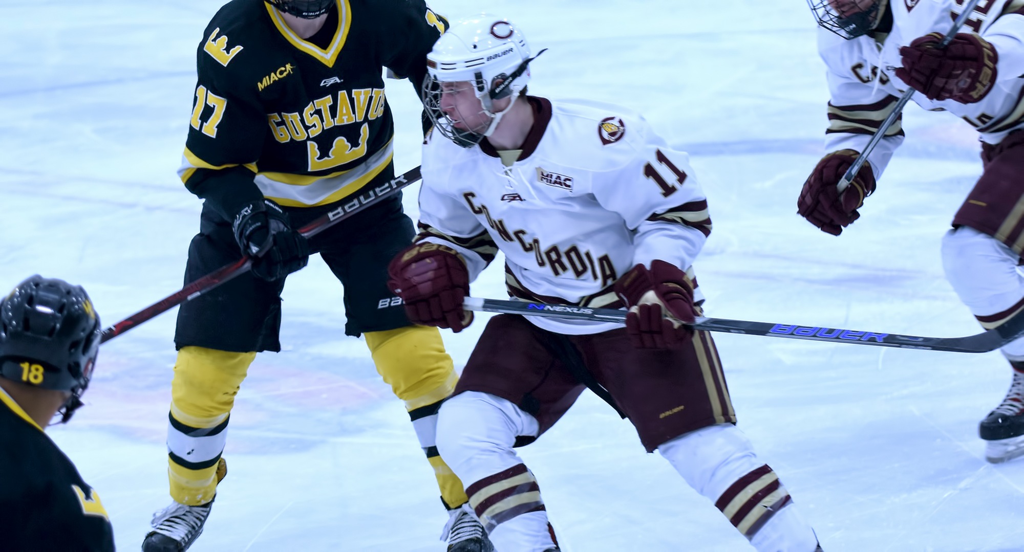 Sophomore Jacen Bracko scored the Cobbers' second goal in the series finale at Gustavus. Bracko now has 10 points on the year and is one of four CC players with a double-digit point total.