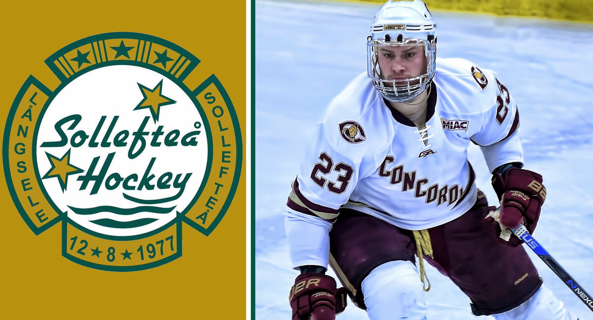 Former Cobber men's hockey player Aaron Ryback signed a professional contract with Swedish Division 2 team Solleftea HK.
