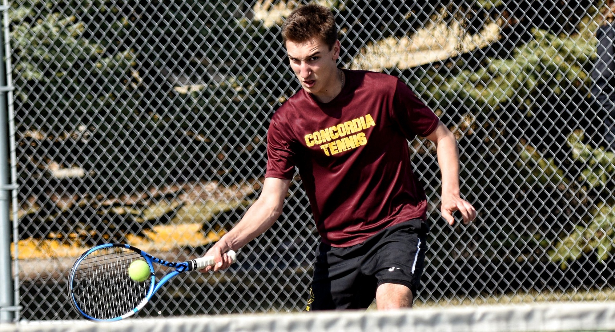 Sophomore Carter Steffes gets ready for a volley at the net during his 6-2, 7-6 (10) win at No.5 singles in the Cobbers' match with Martin Luther.