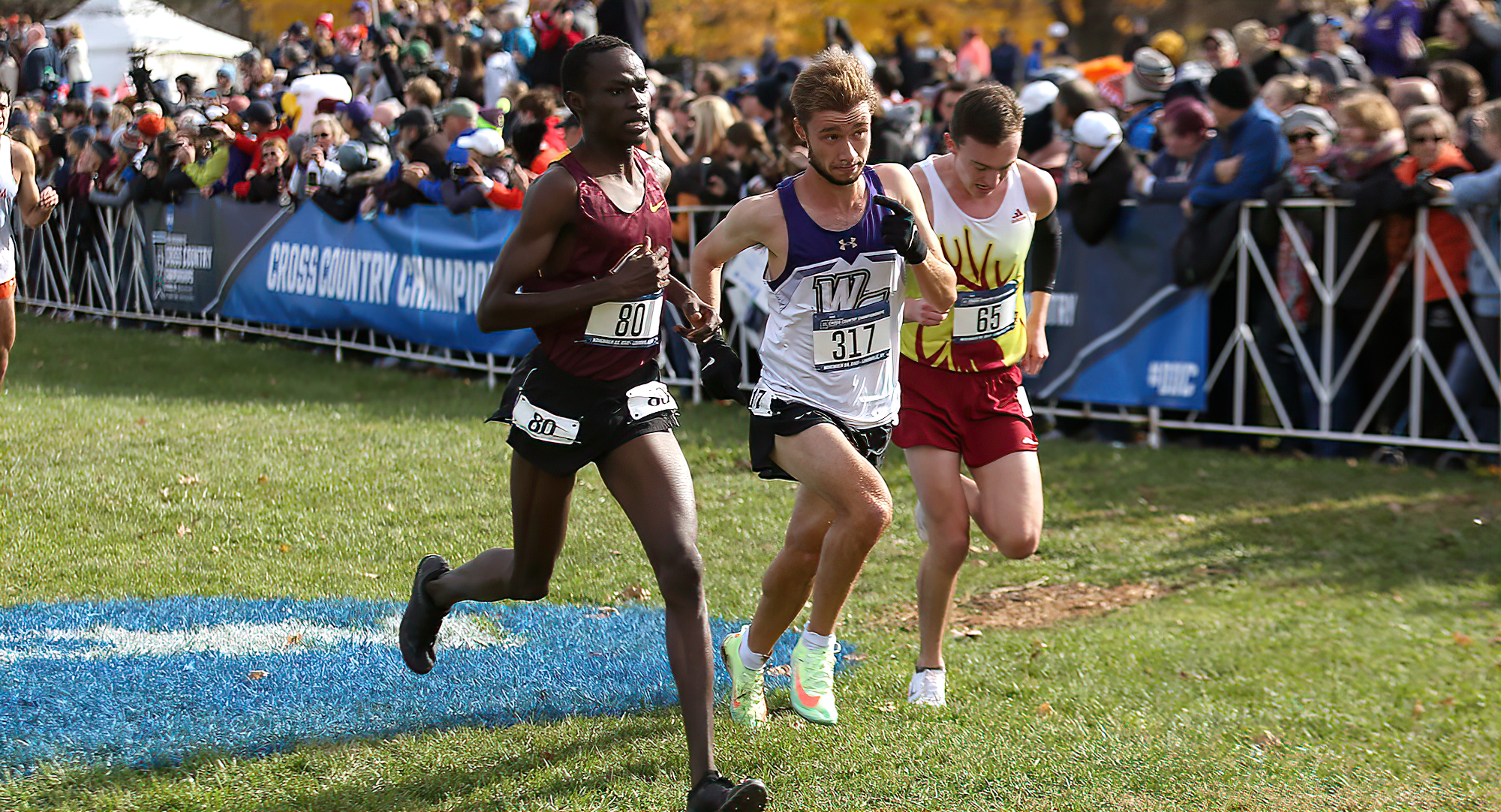 Senior Munir Isahak crosses the finish line at the NCAA Meet. He finished 21st and is only the third Cobber earn All-American honors.