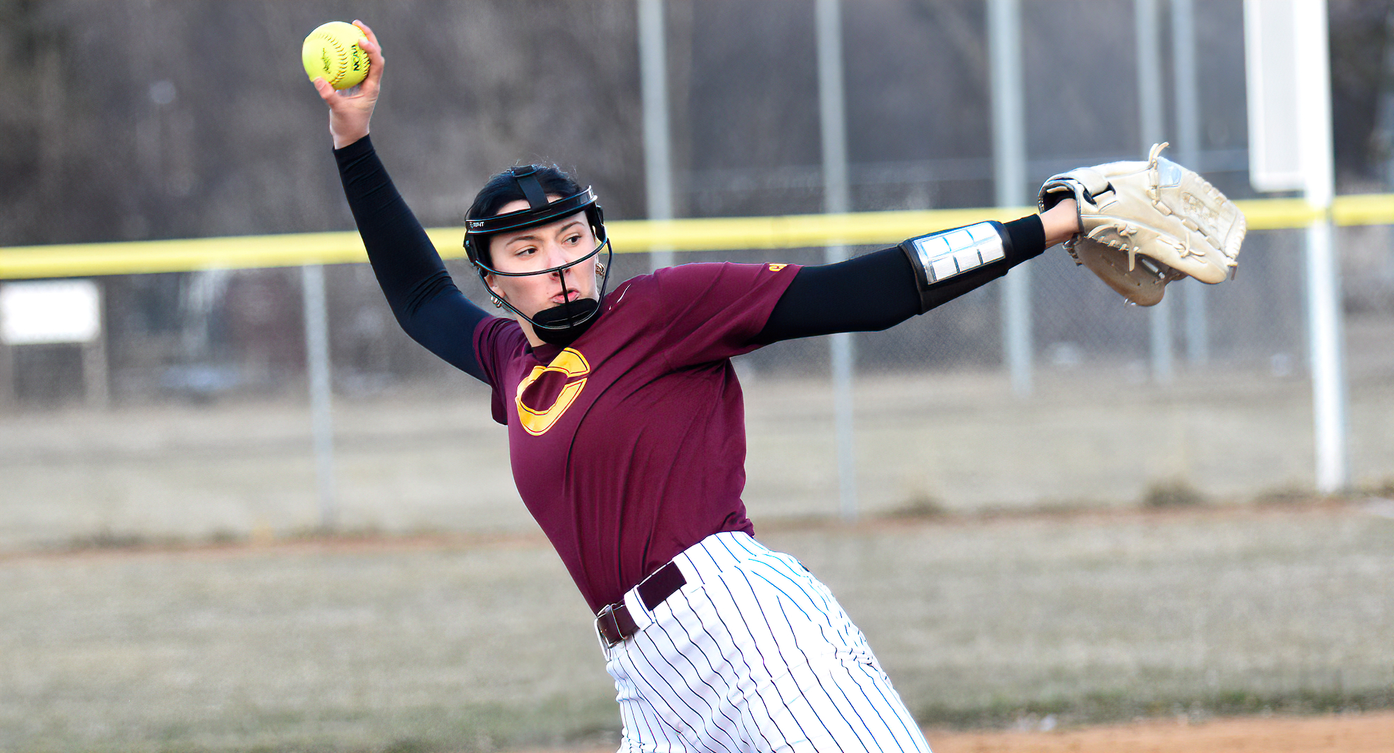 Sophomore Mallory Leitner pitched a 7-strikeout, complete-game shutout in the Cobbers' 5-0 win over Penn St Berks.