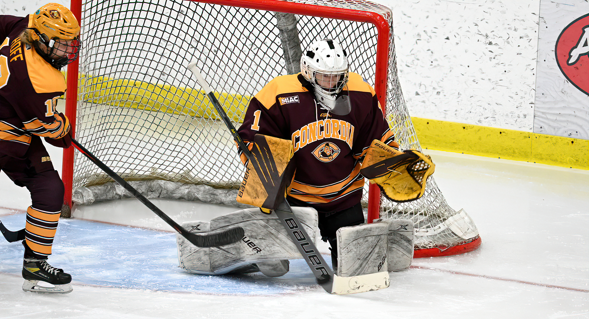 Cobber sophomore goalie Hailee Bailey made a career-high 36 saves in Concordia's series finale at Augsburg.