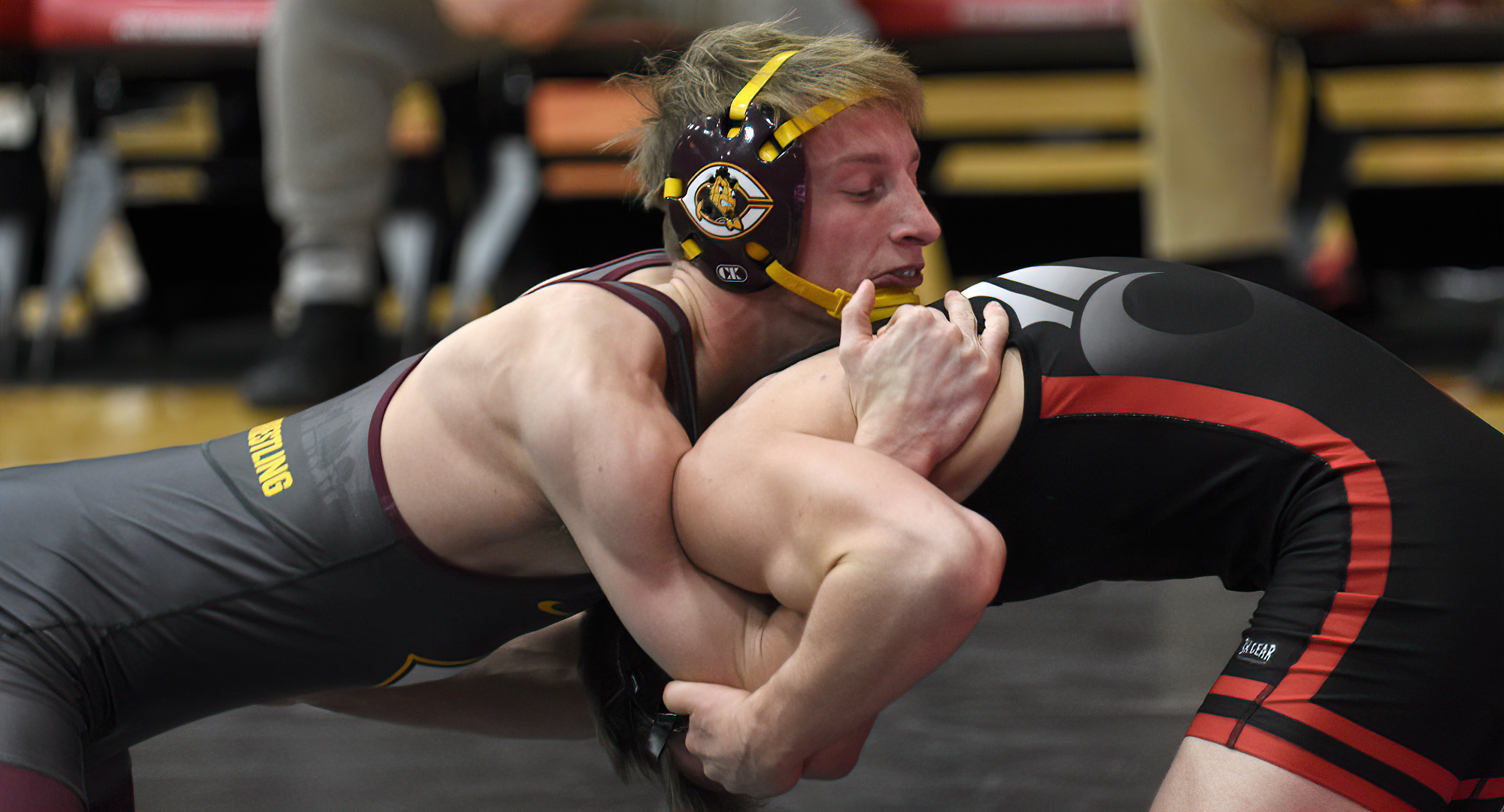 Kellen Schauer was one of seven Cobbers to earn contested wins in the team's 50-0 win at Jamestown. Schauer claimed a 6-4 win at 149.