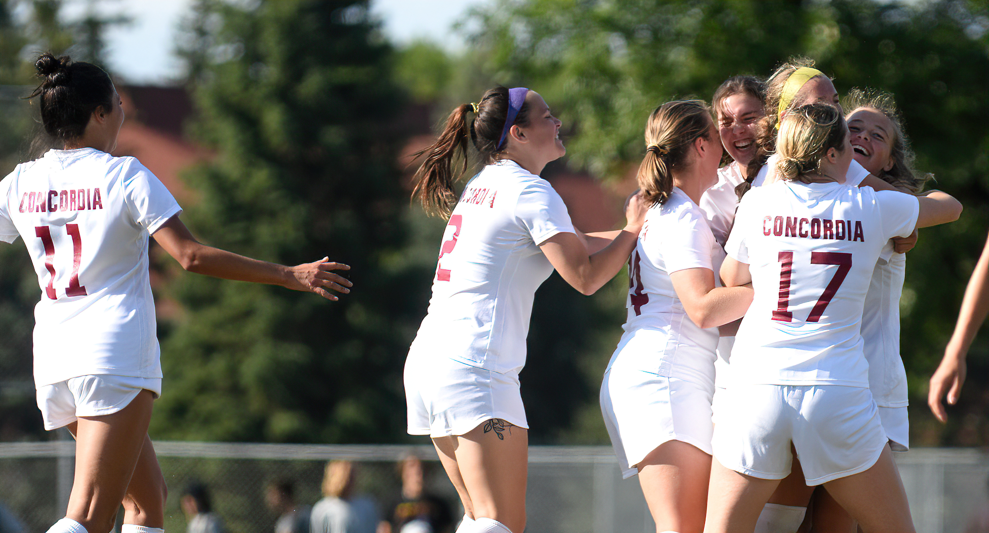 Concordia used a goal in the 65th minute of play, got a couple of good bounces late in the game and beat regionally-ranked St. Catherine 1-0.