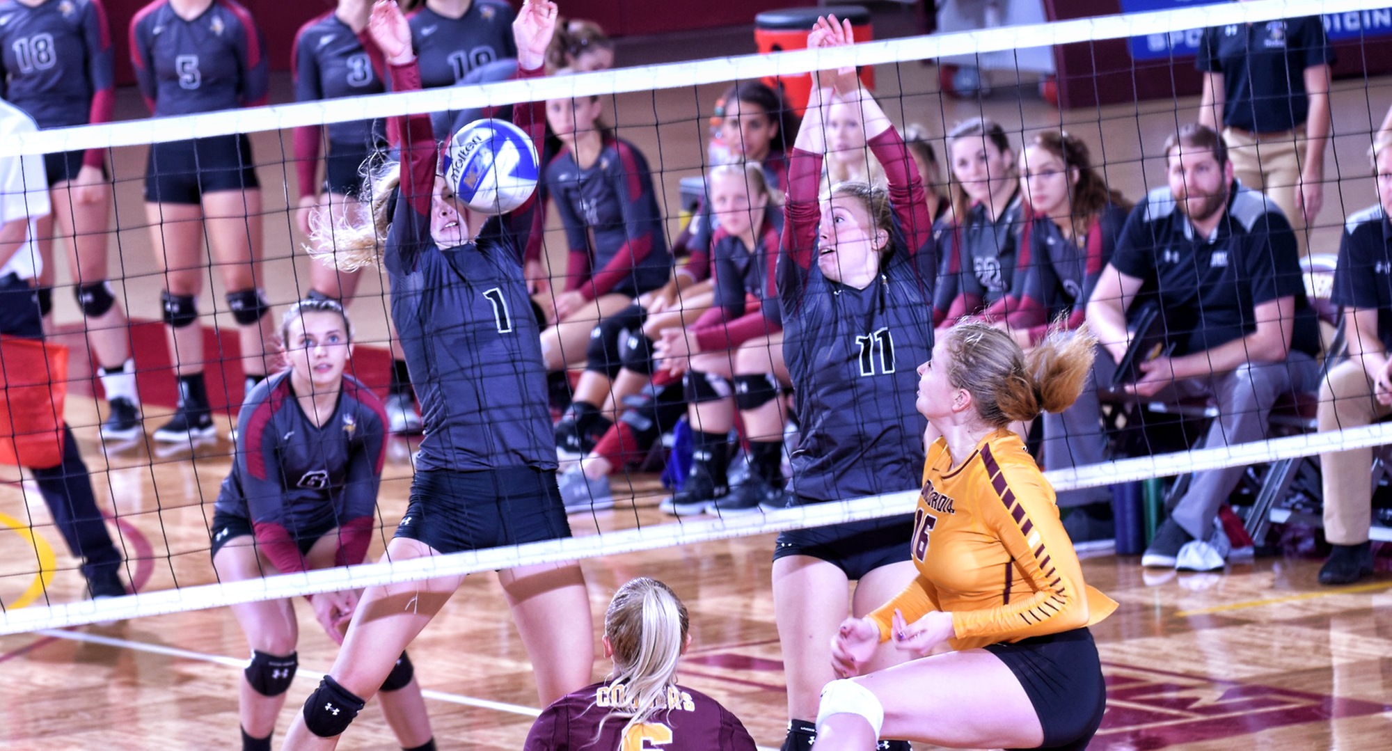Freshman Abigail Christensen puts down the kill in the Cobbers' home opener against Valley City State.