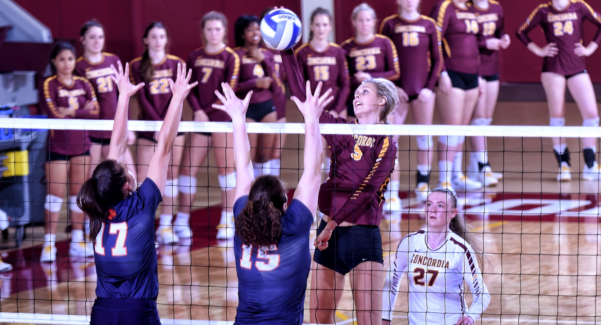 Sophomore Marissa Thompson rises up for one of her four kills in the Cobbers' sweep over Macalester.