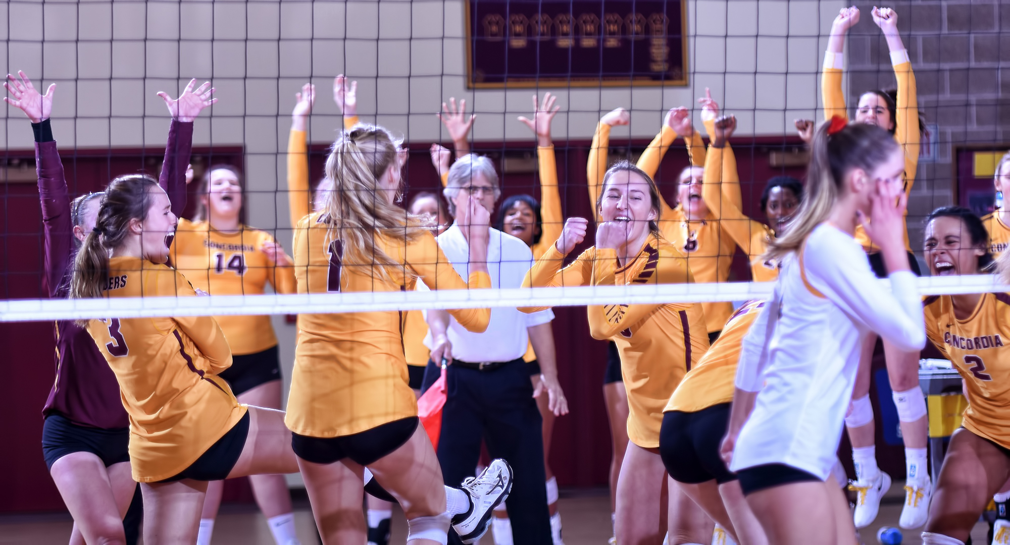 Concordia celebrates set point in the second set during their 3-1 win over Gustavus.
