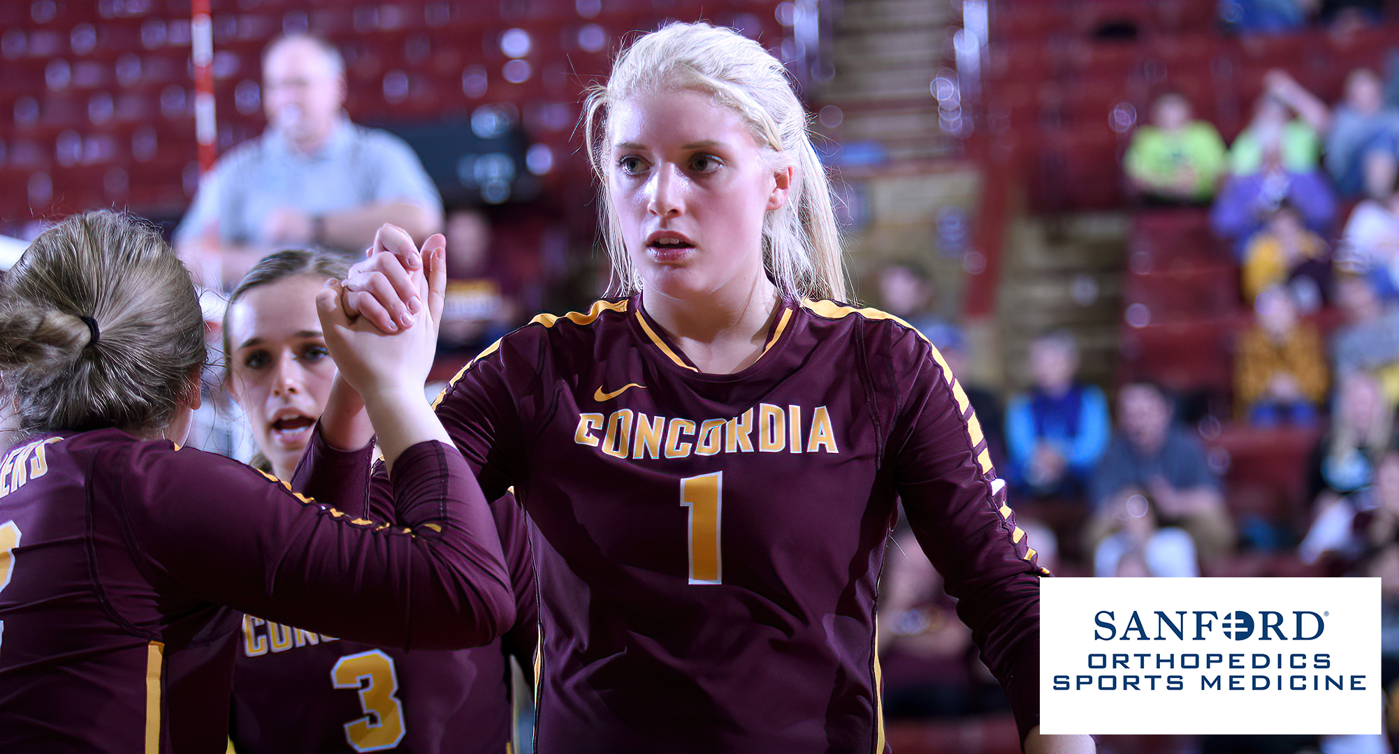 Senior Bailey Gronner had a .308 attack percentage, five kills, two digs and two assists in the Cobbers' final away match of the spring at St. Thomas. (Photo taken in 2019)