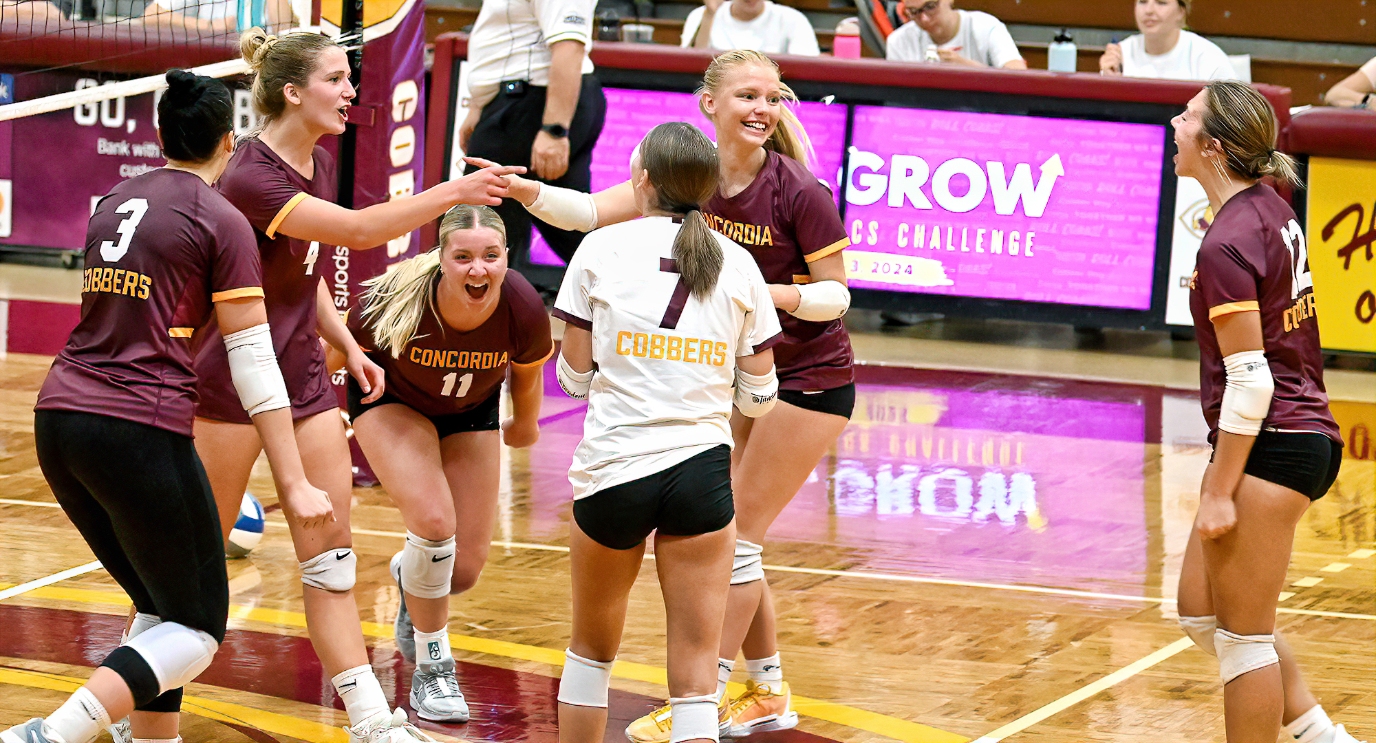 The Cobbers celebrate the penultimate point in their 3-1 win over St. Mary's. Concordia never trailed as they posted a 25-17, 27-25, 18-25, 25-21 win.