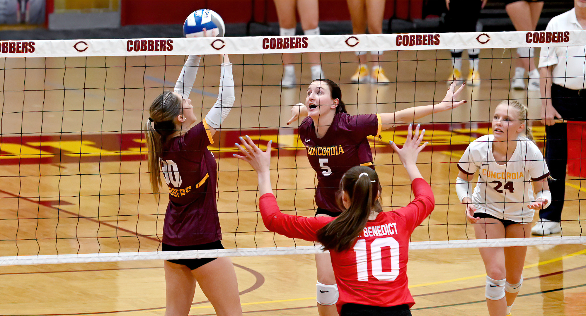 Betsy Schiltz (#30) gets ready to make a set for the Cobber offense during their match with St. Ben's. Schiltz finished with 30 assists.