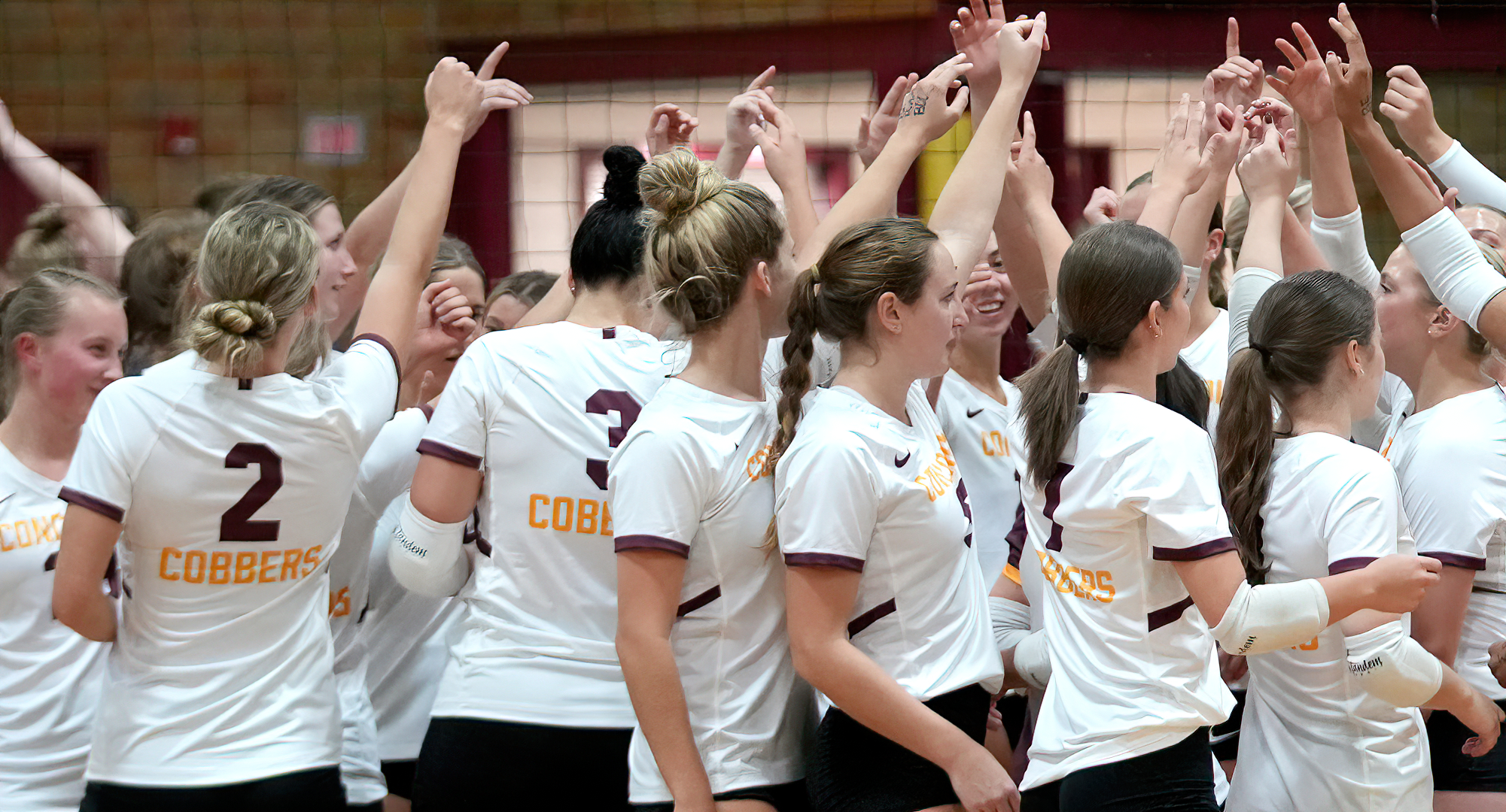 Concordia finished its season by losing 3-0 (25-22, 25-16, 26-24) at Carleton on Saturday.