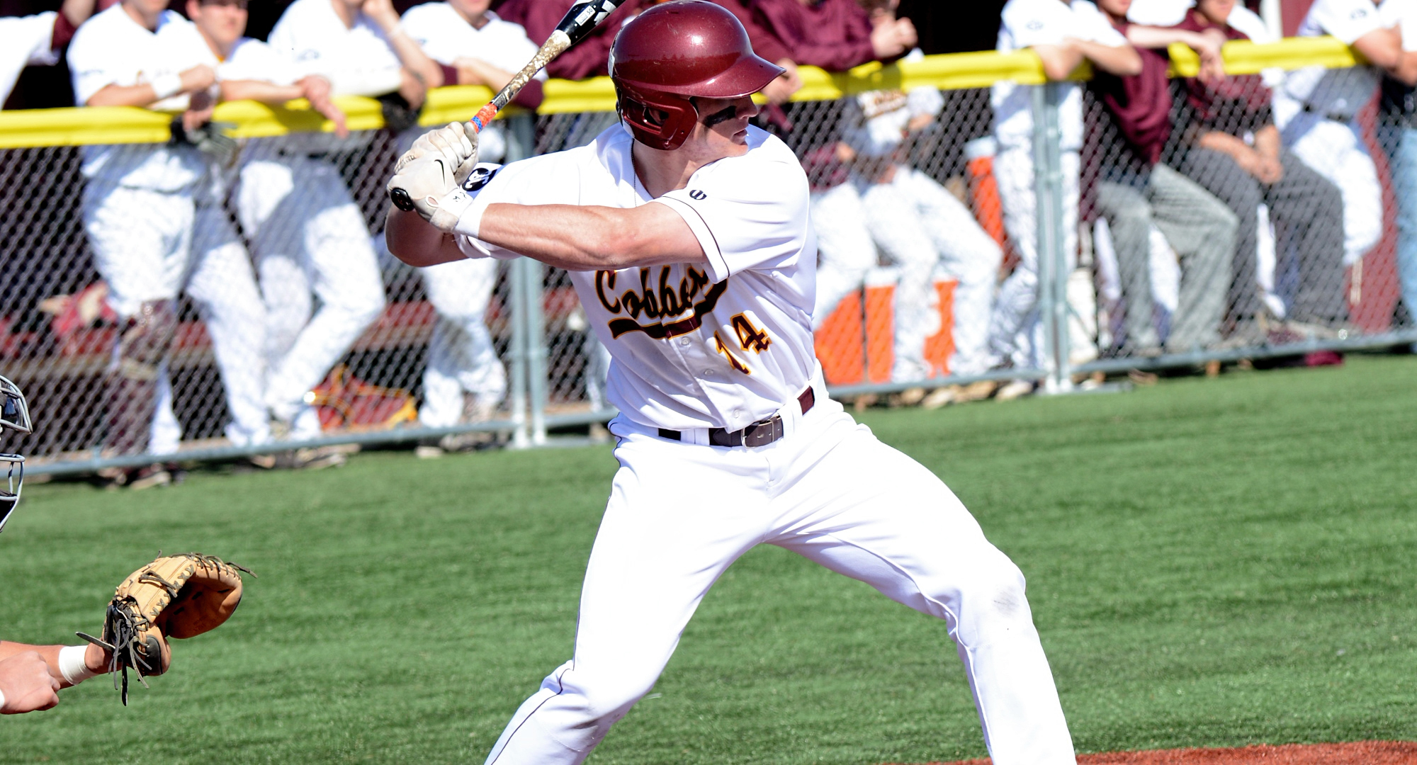 Junior Chad Johnson went 1-for-3 and drove in one of the Cobbers' four runs in the team's game against Augustana (Ill.).