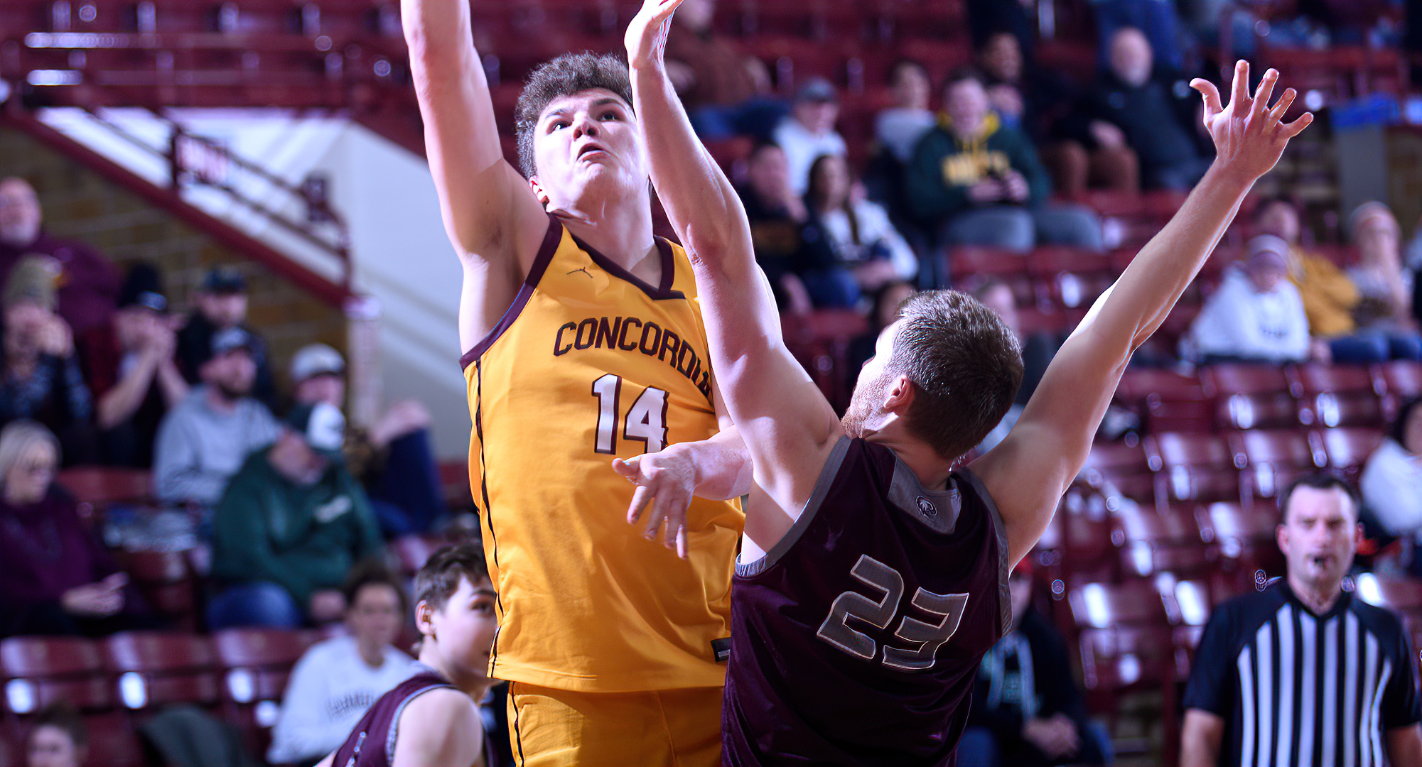 Sophomore Rowan Nelson had game-high totals in points and rebounds as he led the Cobbers to an 84-76 win over Augsburg in Minneapolis.