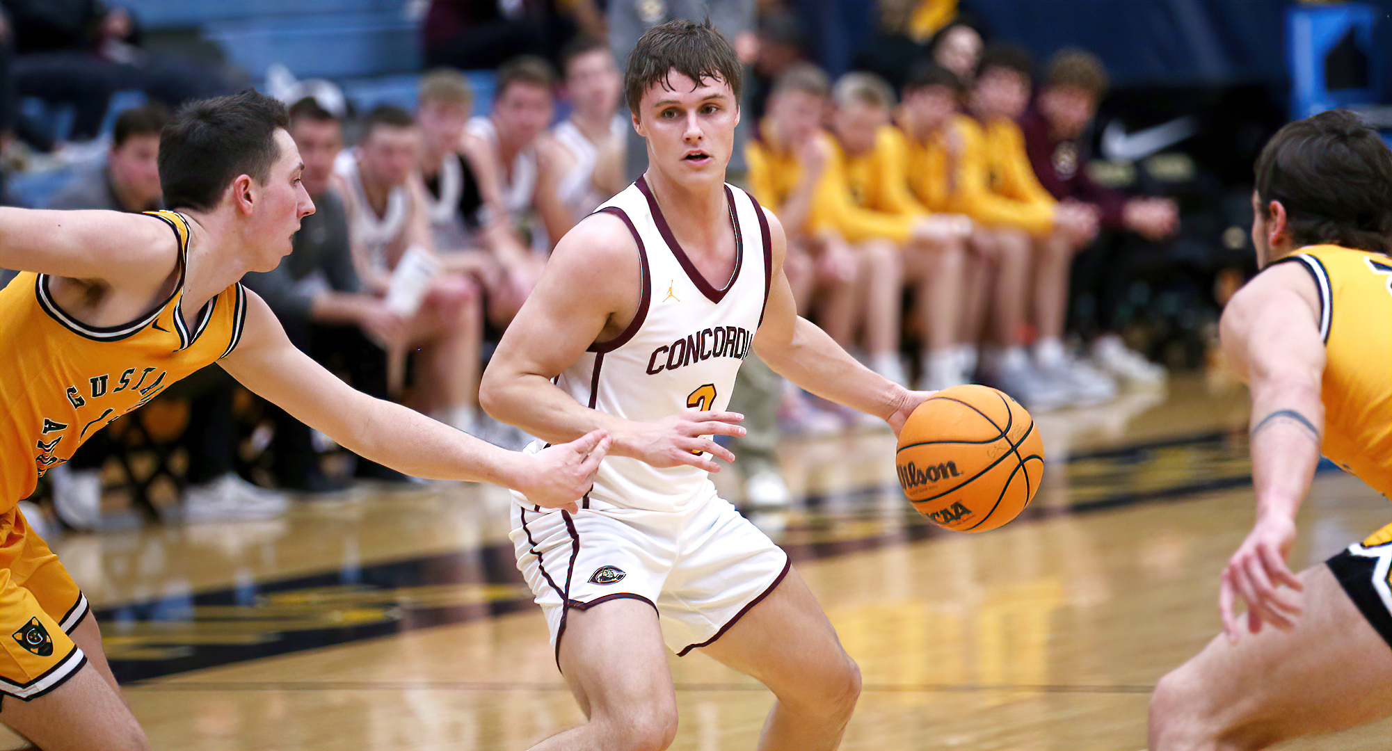 Jackson Jangula looks to dribble between two defenders in the Cobbers' game at Gustavus. (Photo courtesy of Ryan Coleman, D3photography.com)