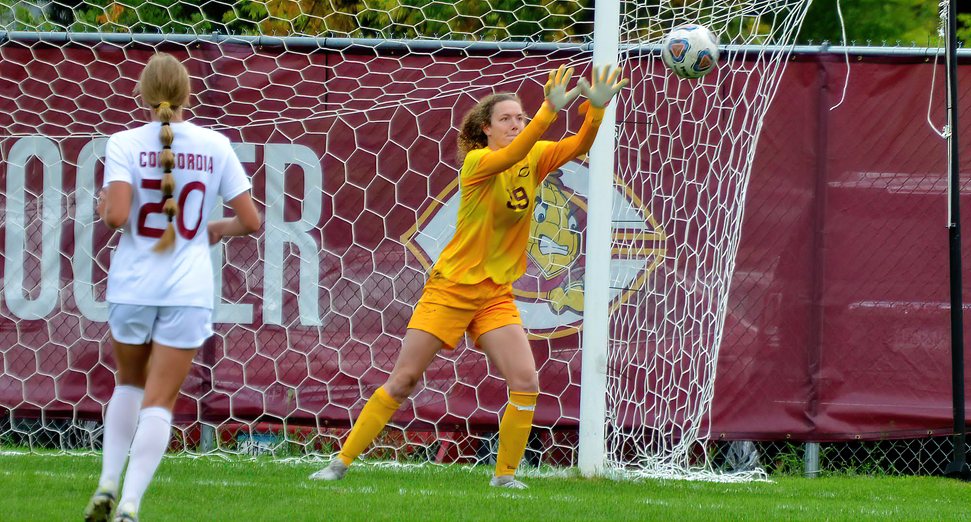 Junior goalie Kaitlin Petrich made eight saves and held nationally-ranked Loras to a single goal in the season opener for the Cobbers.