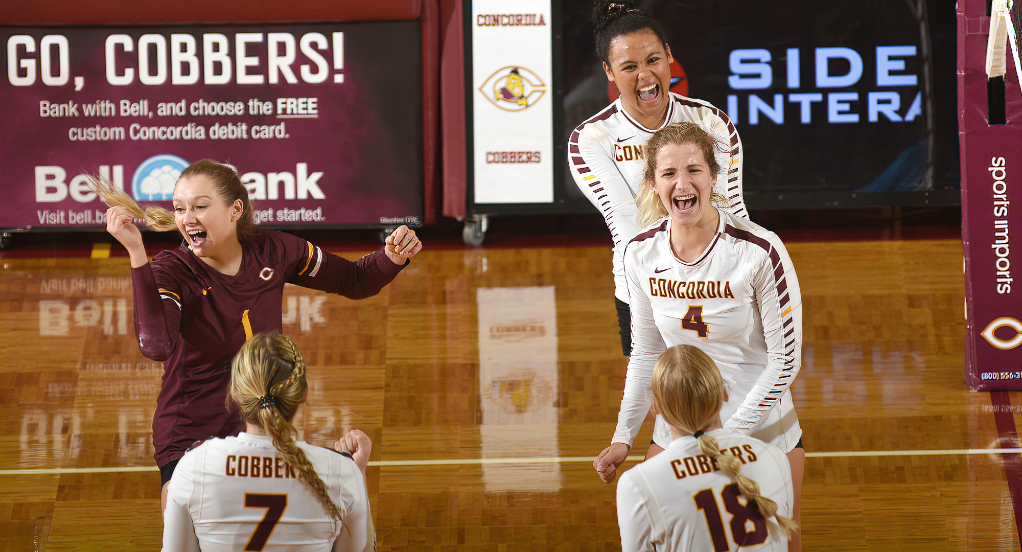 Maria Watt (#4) and the rest of the Cobbers celebrate a point down the stretch of the fourth set in their match with Macalester.